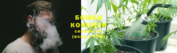 кокс Инсар