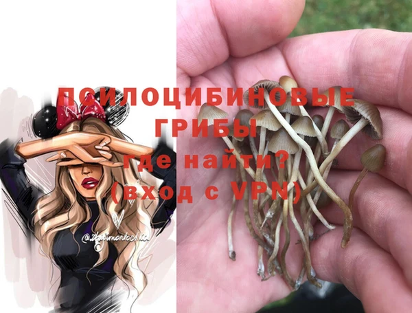 мяу мяу мука Иннополис