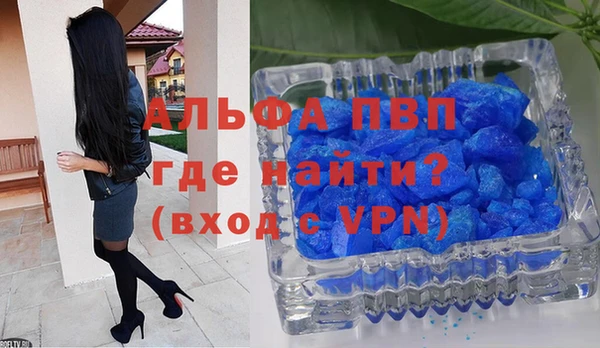 мет Касимов