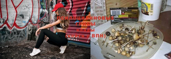 герыч Карпинск
