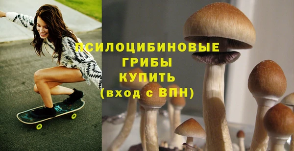 бутират Каменка